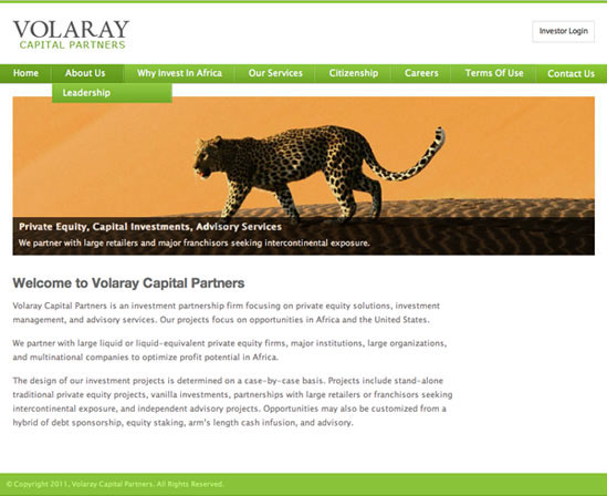 Web development and web design services