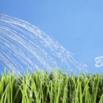 6 Tips On How to Grow Your Blog