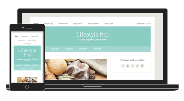Lifestyle is a light, fresh and impressive magazine WordPress theme developed by the StudioPress 